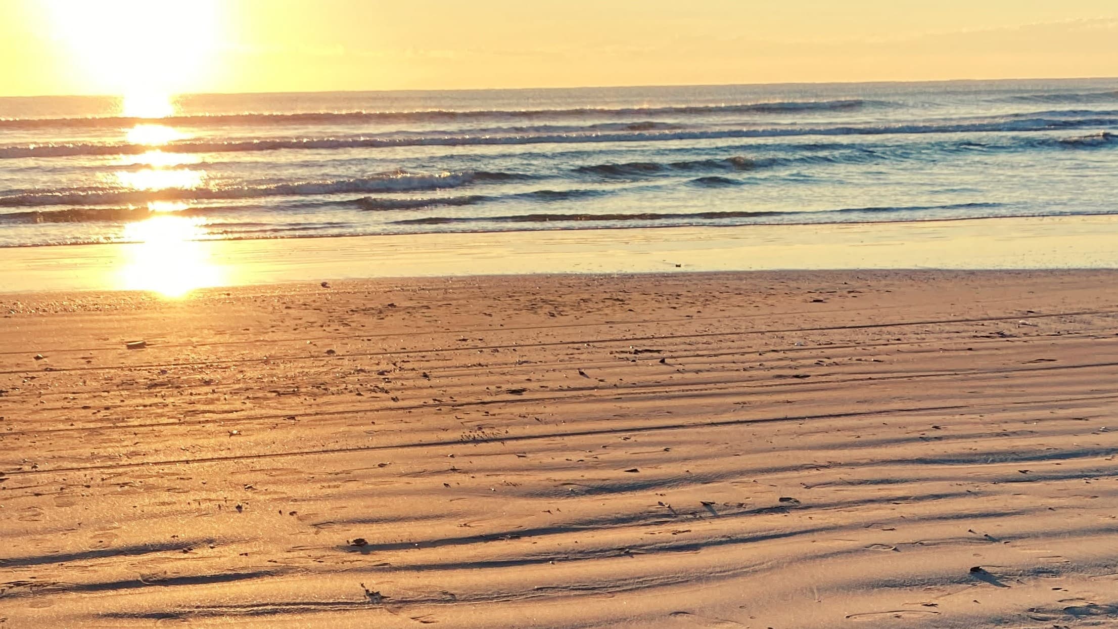 制服についての中間報告